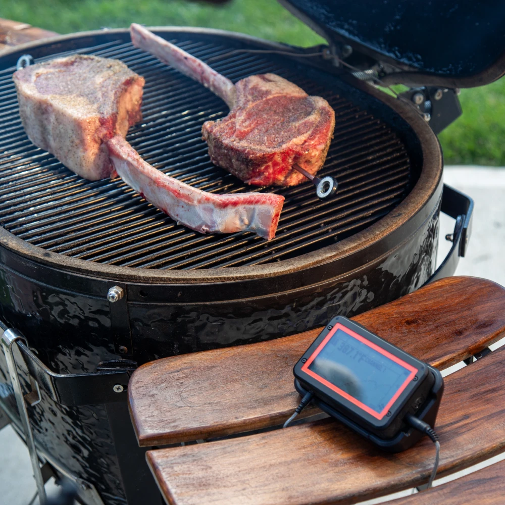 Fireboard Pulse Wireless Food Temperature Probe