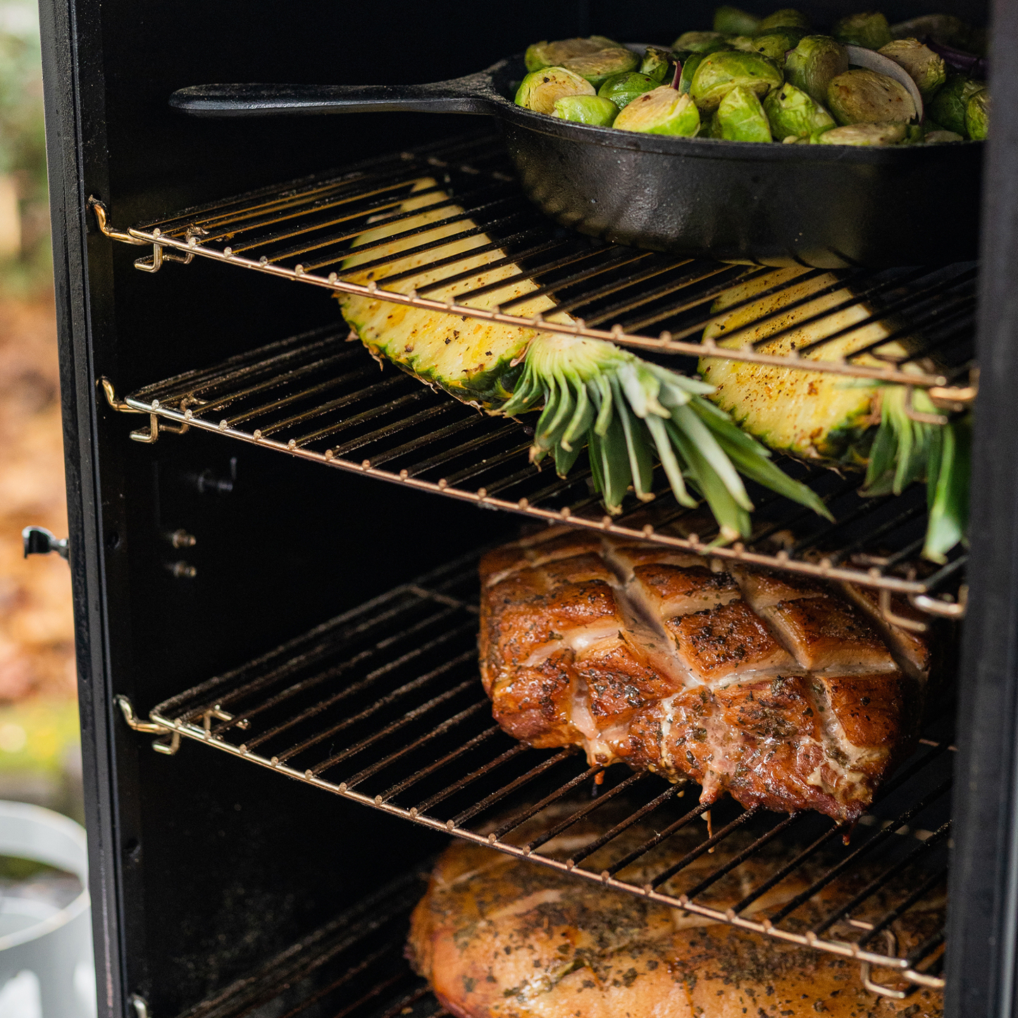 Masterbuilt Dual Fuel Smoker MPS230S