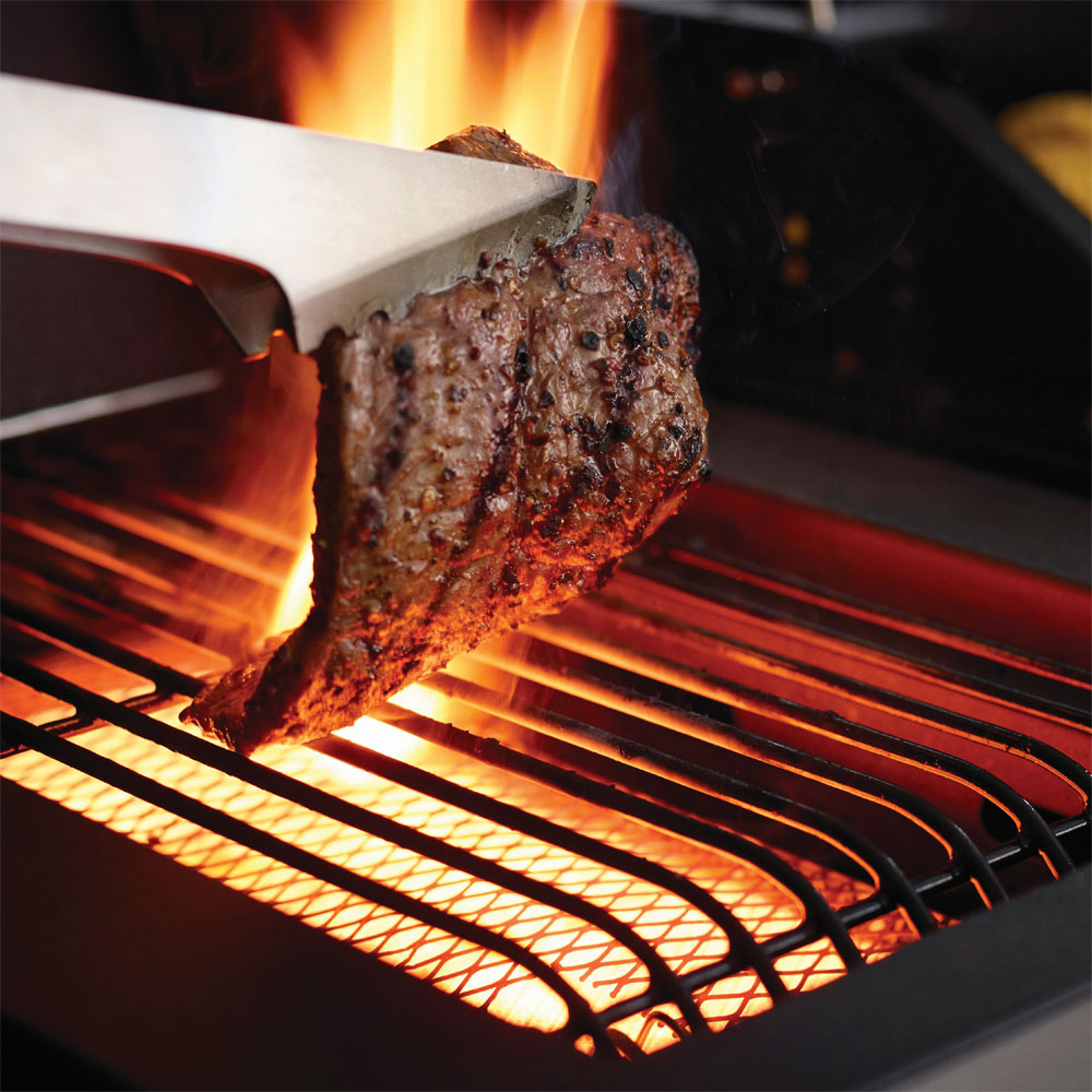Signature Pro 6 Burner Hybrid Gas BBQ Outback