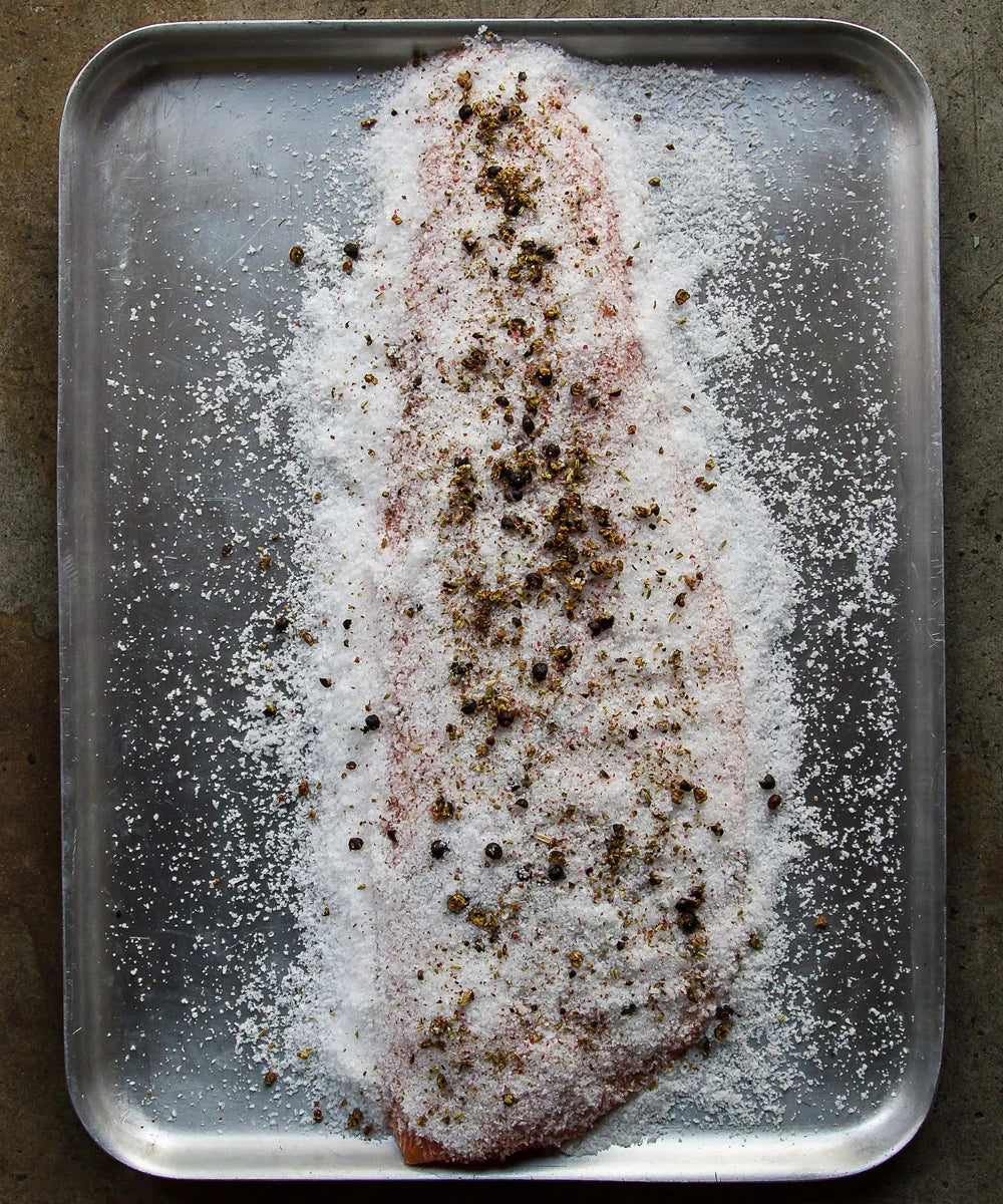 ProQ Salmon Cold Smoking & Curing Kit