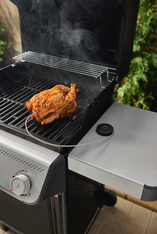 Smart Probe and Grate Sensor Weber