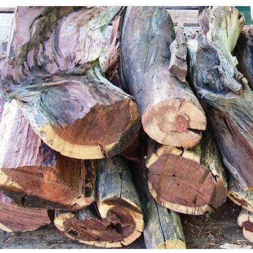 Mopane / Balsam Braai Wood 22L - BBQ Land