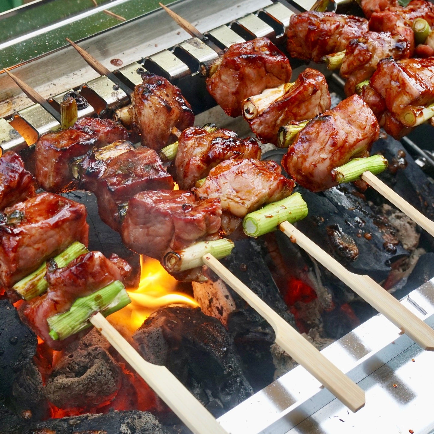 THÜROS Shish Kebab Skewer Attachment for THÜROS PRO - BBQ Land